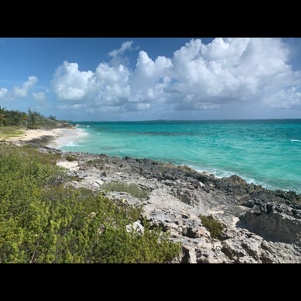 Meet your Posher, Whitney